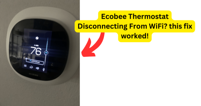 Ecobee Thermostat Disconnecting From WiFi